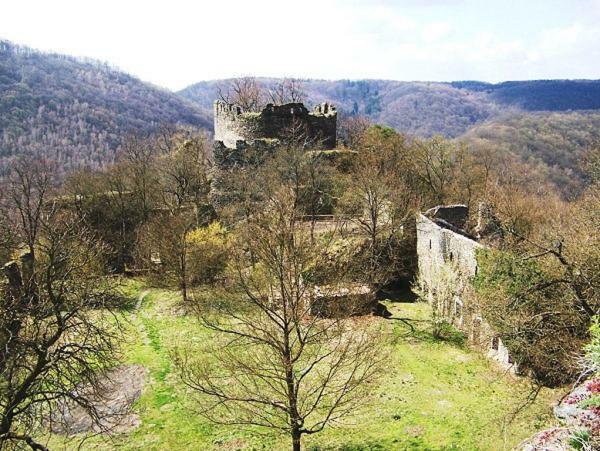 Garden Apartments Znojmo Luaran gambar